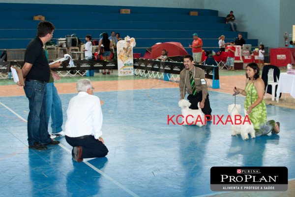 Clique sobre a foto para fechar